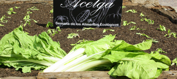 verdura ecológica en Madrid